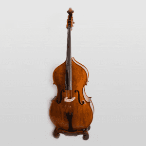 5-string-double-bass-for-rent