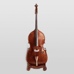 DOUBLE-BASS-FOR-RENT-BACKLINE-TRICITY